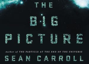 The Big Picture Book Cover