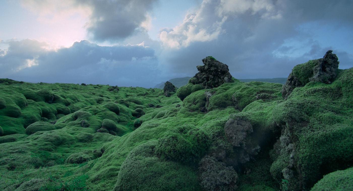 Voyage of Time -- Moss Covered Lava